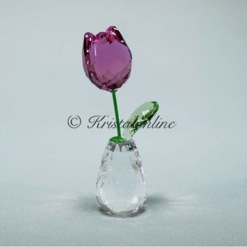Bloemendromen - Roze Tulp